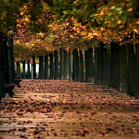 Casa Dimora Vincenza